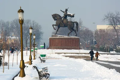 35. Зимние краски столицы Узбекистана: Изображения в JPG, PNG, WebP для вашего выбора