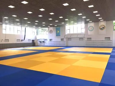 Фото татами для дзюдо: лучшие изображения в формате jpg, png, webp