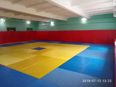 Татами для дзюдо: фотографии с возможностью выбора формата файла (jpg, png, webp)