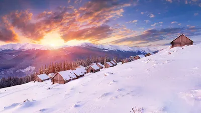 12: Снежные краски: Фотографии Татаров в высоком разрешении