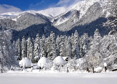 Искусство зимней природы: Фотографии в HD качестве