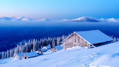 Изысканные картины: Зимние фотографии Татаров