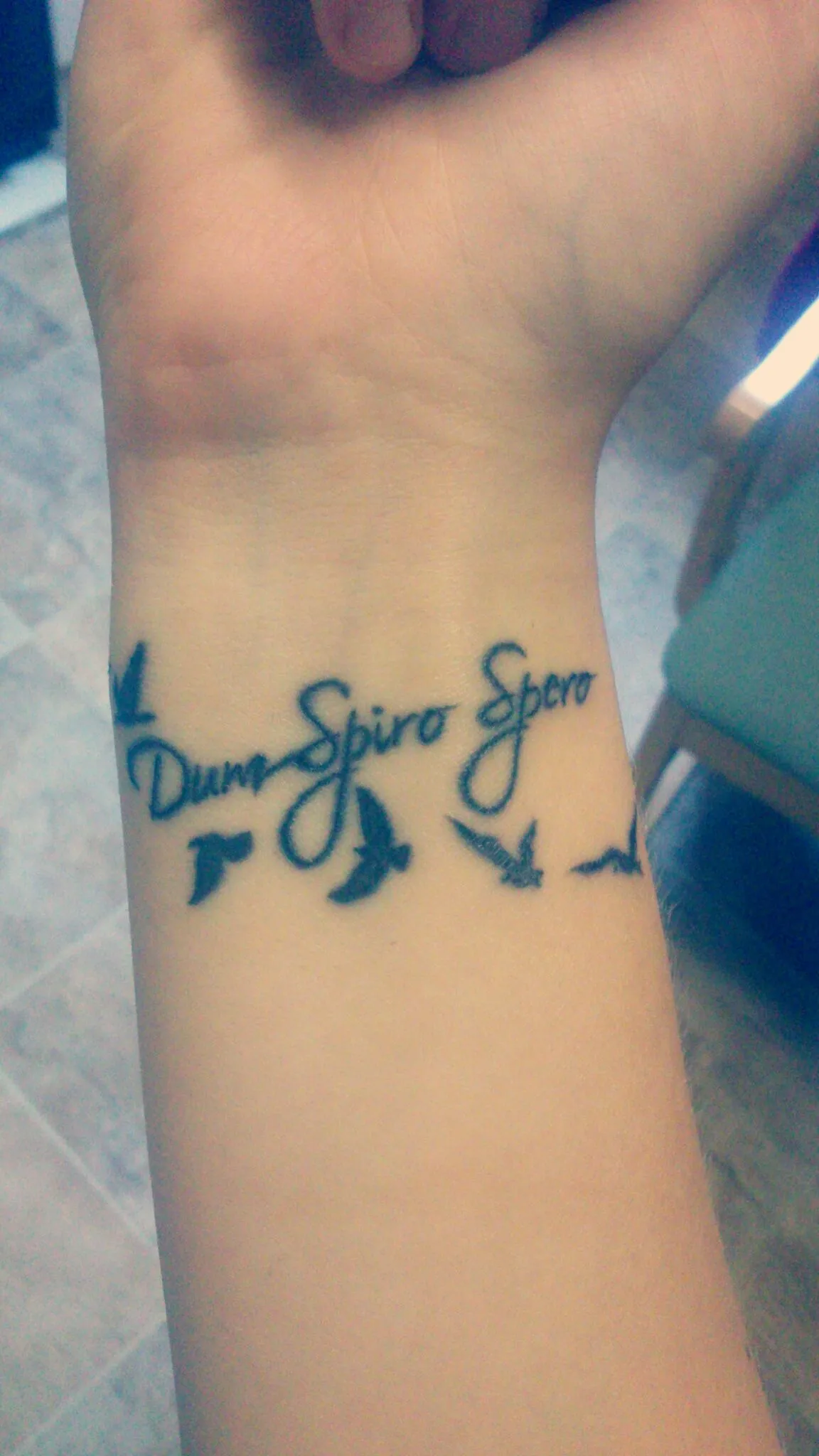 Dum Spiro Spero Tattoo