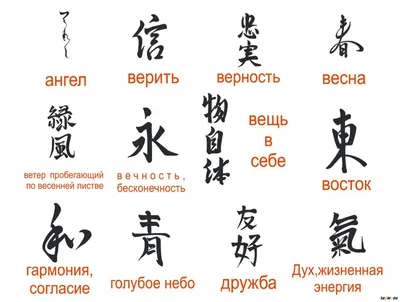 Фотографии тату с японскими иероглифами в png формате