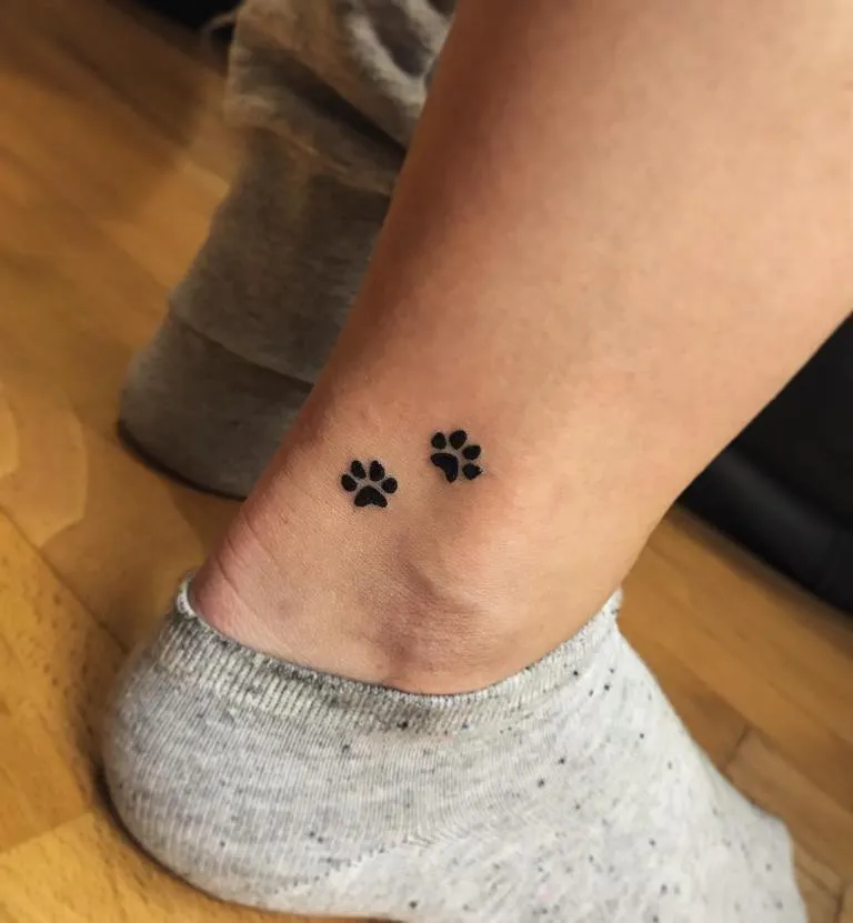 Тату кошачьи лапки фото на животе | Paw tattoo, Tattoos, Paw print tattoo