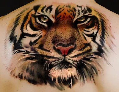 Восхитительная картинка тигра на груди в формате jpg