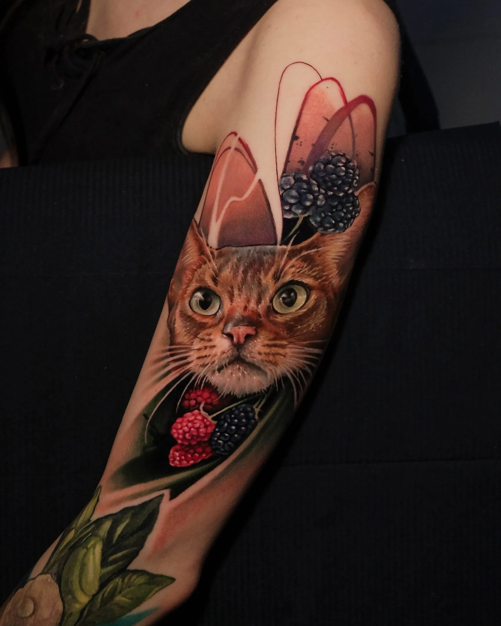 Зачем коту татуировка: Ученые потребовали запретить калечить животных