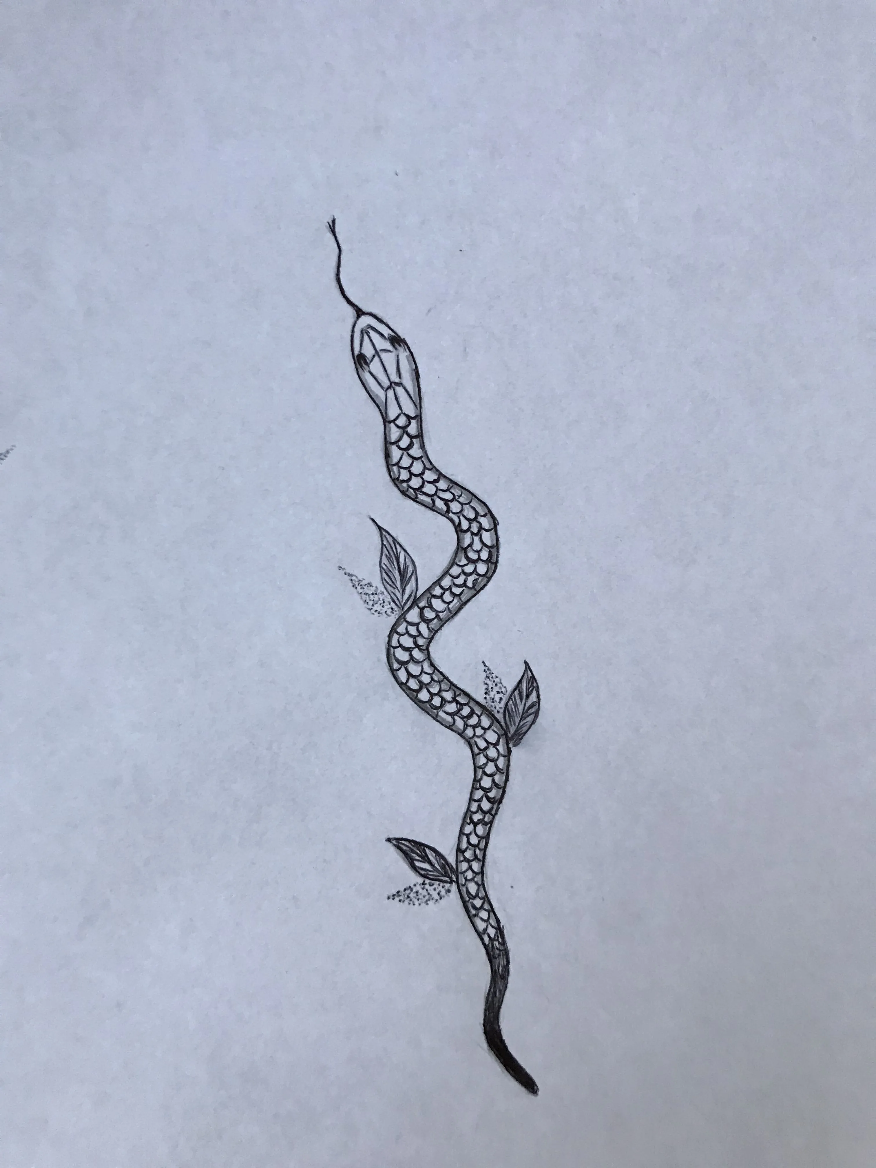 Змея эскиз
