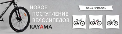 Татуаж хардтейл 2023: фото для тех, кто хочет быть в центре внимания