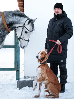 Фото тазов на природе