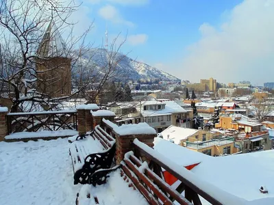 Зимние Впечатления от Тбилиси: Фотогалерея