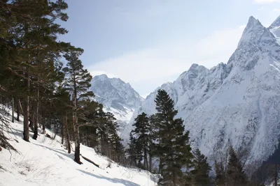 Зимние контрасты Теберды: Фотографии для скачивания в различных форматах