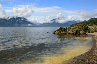 Фото Телецкого озера утопленников: прикоснитесь к его красоте и спокойствию