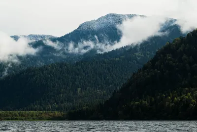Фото Телецкого озера утопленников: насладитесь кристально чистыми водами и горными пейзажами