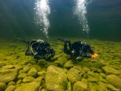 Удивительные фотографии Телецкого озера утопленников в формате 4K