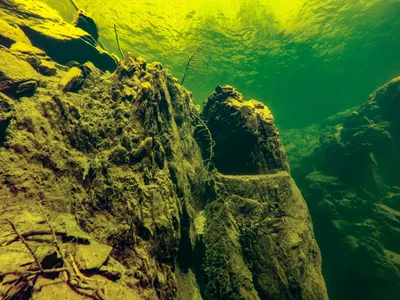 Природа в своей лучшей форме: фото Телецкого озера утопленников для вашего удовольствия