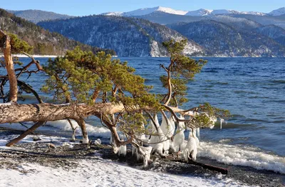 Зимние мгновения: Фотографии Телецкого озера в различных форматах
