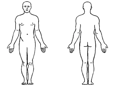 Размер в фокусе: Фотографии человеческого тела в различных разрешениях