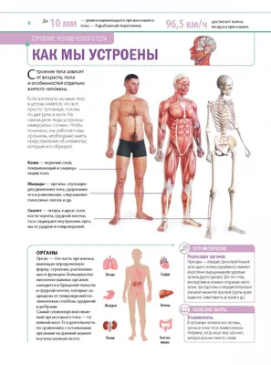 Очарование момента: Фото человеческого тела в разных разрешениях