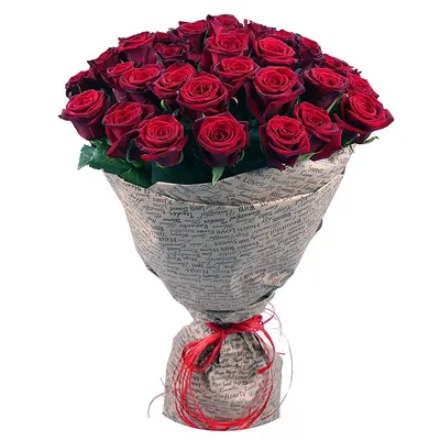 Удивительные темно бордовые розы в различных вариантах (JPG, PNG, WEBP)