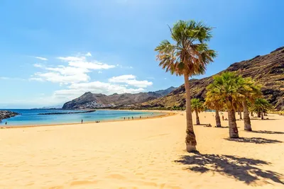 Лучшие изображения Тенерифе пляжей для скачивания бесплатно