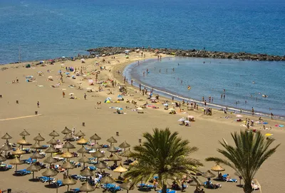 Фотоальбом: красоты Тенерифе и его пляжи
