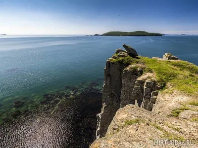 Удивительное многообразие природы Теплого моря Славянка на фото