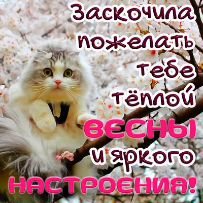 Новые фото весны для скачивания в формате JPG, PNG, WebP