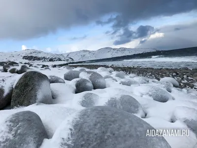 Зимний аромат Териберки: Фотографии в высоком разрешении