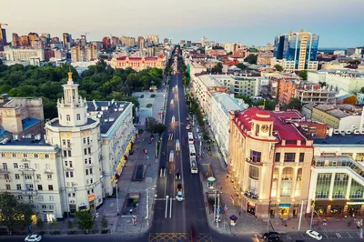 Скачайте фото тетеревятника в высоком качестве