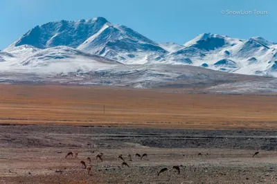 Восхитительные пейзажи Тибетских гор - лучшие фото в HD