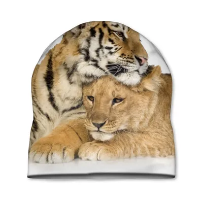 Фото Тигр и львица в формате webp для быстрой загрузки