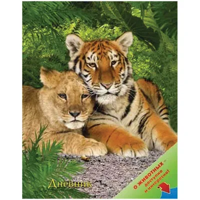 Фотка Тигр и львица: две прекрасные кошки в объятьях друг друга