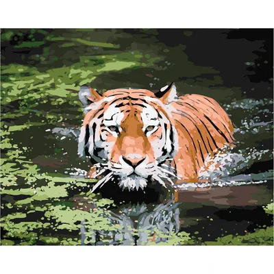 Загадочная фотография: тигр в тени воды