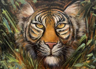 Тигр в джунглях фотографии