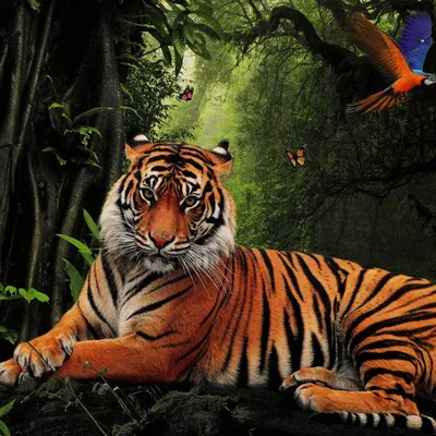 Ошеломляющее изображение тигра в дикой природе