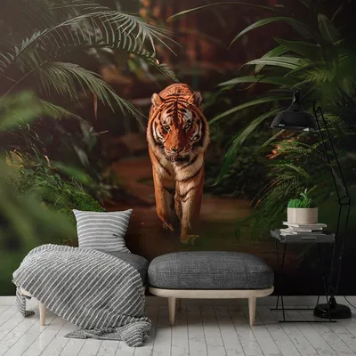 Тигр в джунглях: величие и волшебство природы
