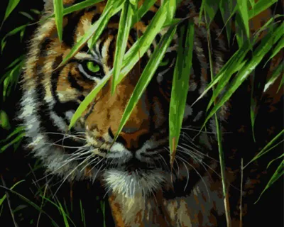 Ошеломляющий тигр в живописных джунглях