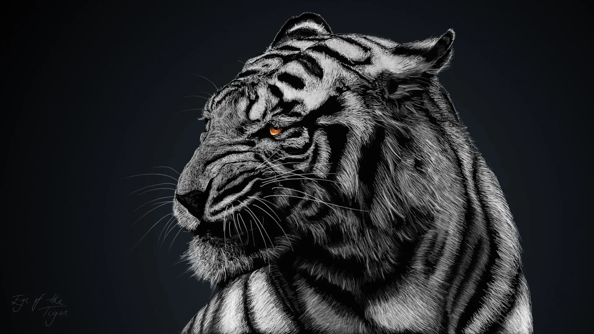 Черный тигр обои - 59 фото