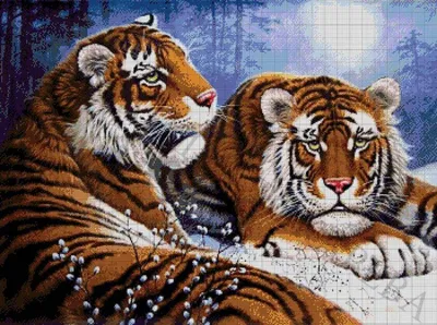 Фотоальбом пары тигров, встречающихся