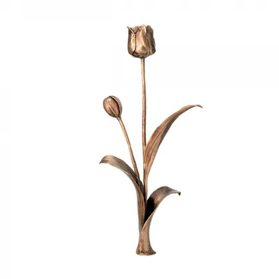 Великолепные тюльпаны: выберите изображение для загрузки