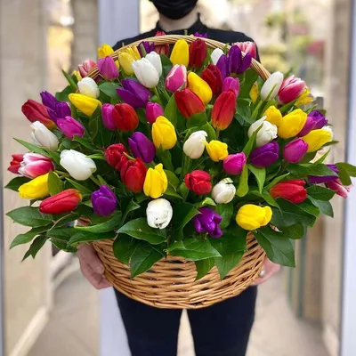 Яркие тюльпаны для вас: загрузите фото в формате PNG
