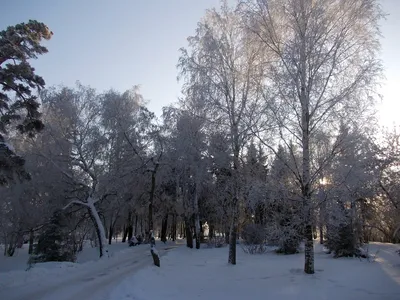 Тобольск зимой: Картинки в формате WebP