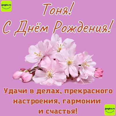 14) Поздравления с Днем Рождения Тоха: новые изображения для скачивания