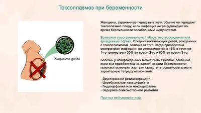 Изображения токсоплазмоза: Фотографии человека для скачивания