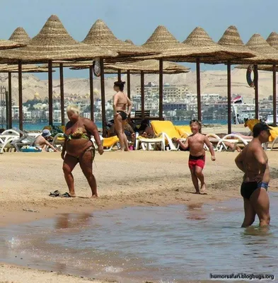 Пляжные впечатления: фото с толстыми людьми на пляже