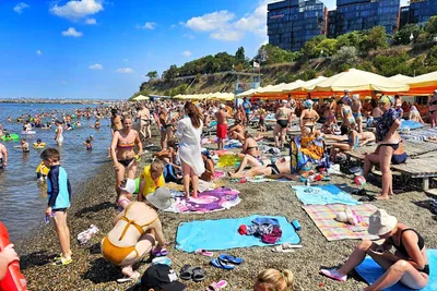 Летние радости: толстые люди на пляже