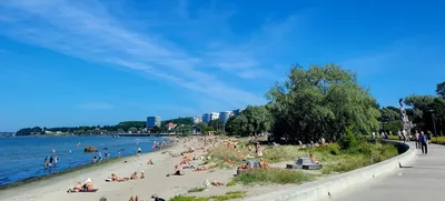 Full HD фото толстых людей на пляже