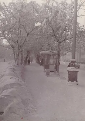 Фотоальбом Томск зимой: Белоснежные изображения в различных форматах