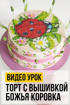 Фото Торта божья коровка: новые и свежие изображения для вашего сайта